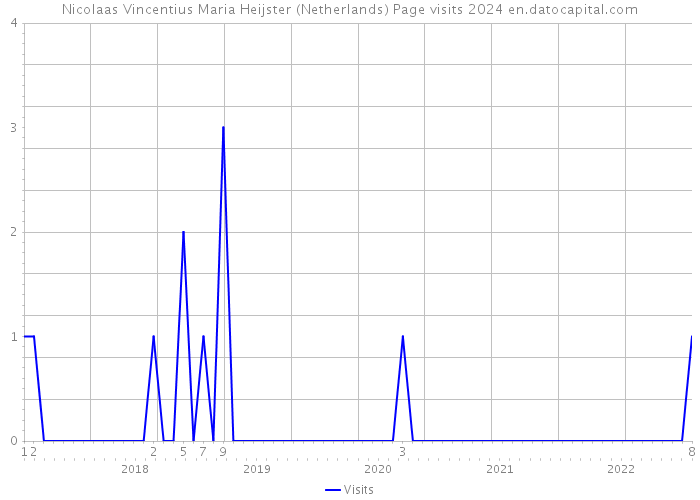 Nicolaas Vincentius Maria Heijster (Netherlands) Page visits 2024 