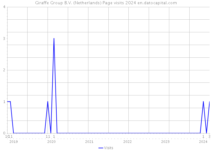Giraffe Group B.V. (Netherlands) Page visits 2024 