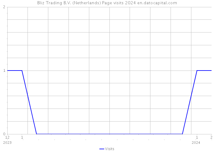 Bliz Trading B.V. (Netherlands) Page visits 2024 
