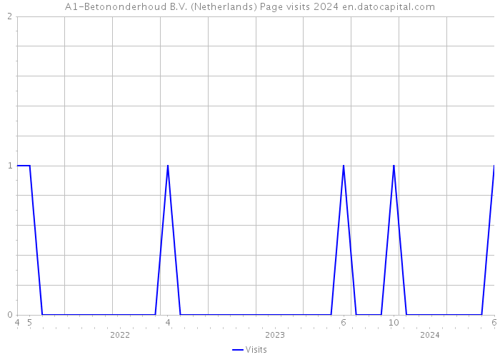 A1-Betononderhoud B.V. (Netherlands) Page visits 2024 