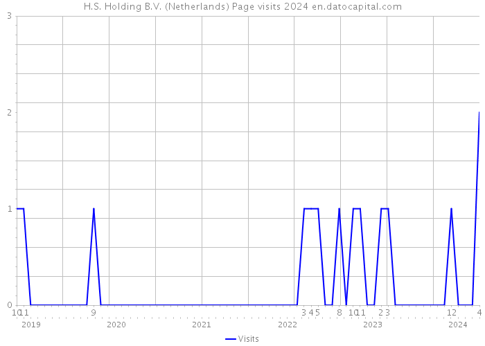 H.S. Holding B.V. (Netherlands) Page visits 2024 