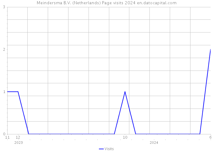 Meindersma B.V. (Netherlands) Page visits 2024 