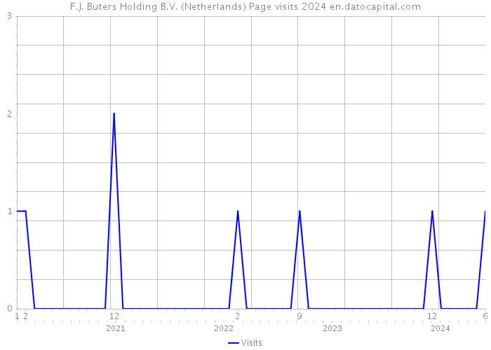 F.J. Buters Holding B.V. (Netherlands) Page visits 2024 