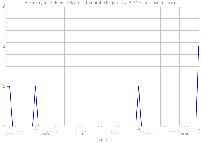 Herman Jonker Beheer B.V. (Netherlands) Page visits 2024 