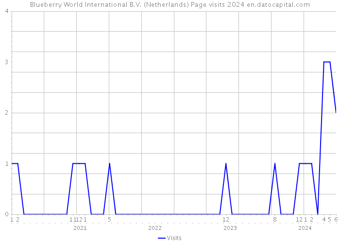 Blueberry World International B.V. (Netherlands) Page visits 2024 