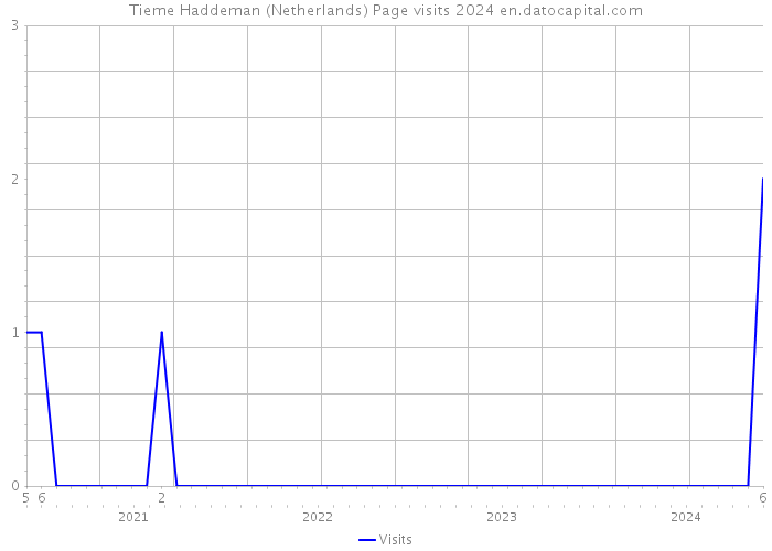 Tieme Haddeman (Netherlands) Page visits 2024 