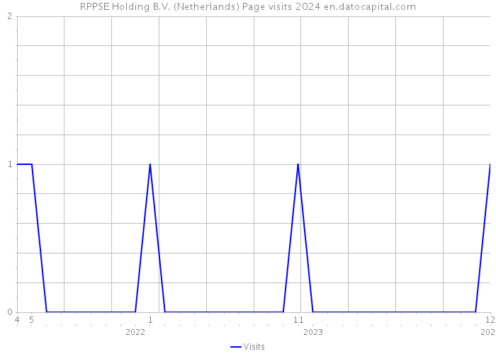 RPPSE Holding B.V. (Netherlands) Page visits 2024 