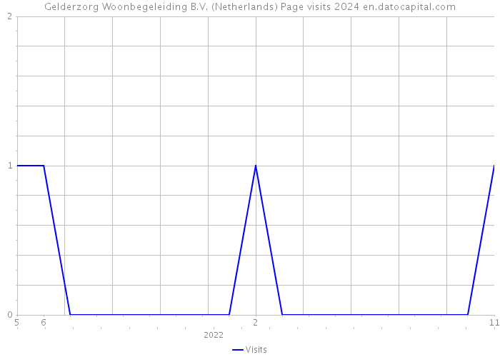 Gelderzorg Woonbegeleiding B.V. (Netherlands) Page visits 2024 
