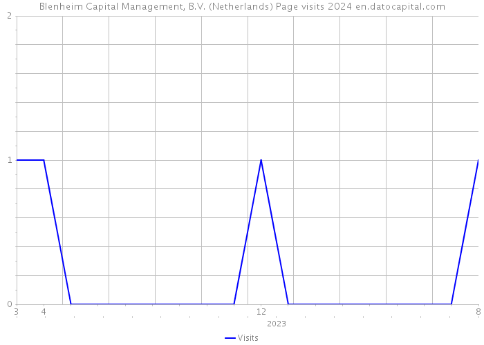 Blenheim Capital Management, B.V. (Netherlands) Page visits 2024 