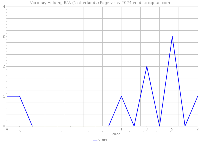 Voropay Holding B.V. (Netherlands) Page visits 2024 