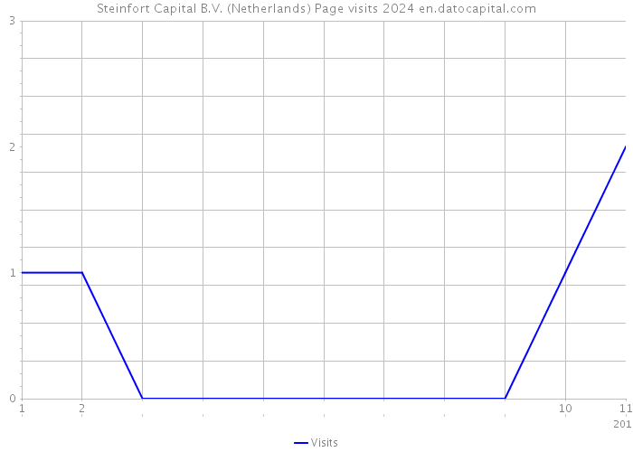 Steinfort Capital B.V. (Netherlands) Page visits 2024 
