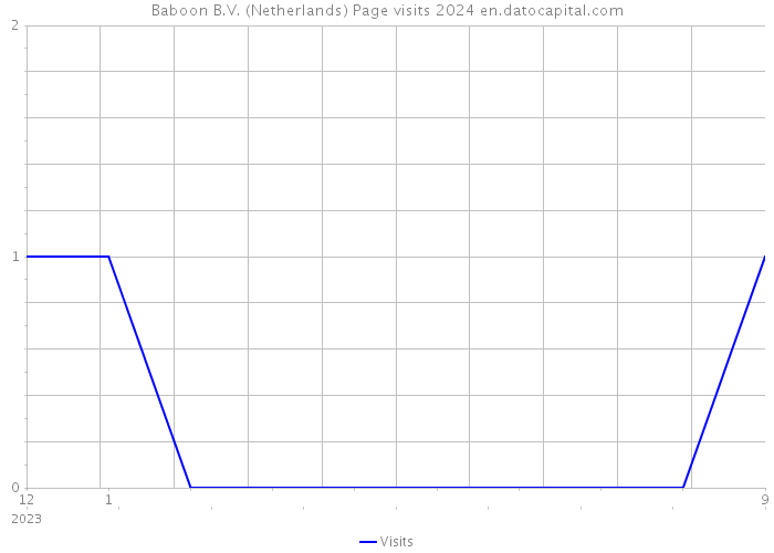 Baboon B.V. (Netherlands) Page visits 2024 