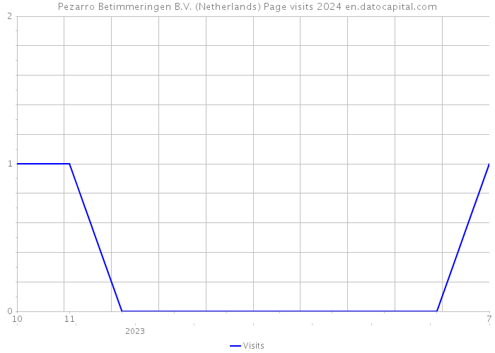 Pezarro Betimmeringen B.V. (Netherlands) Page visits 2024 