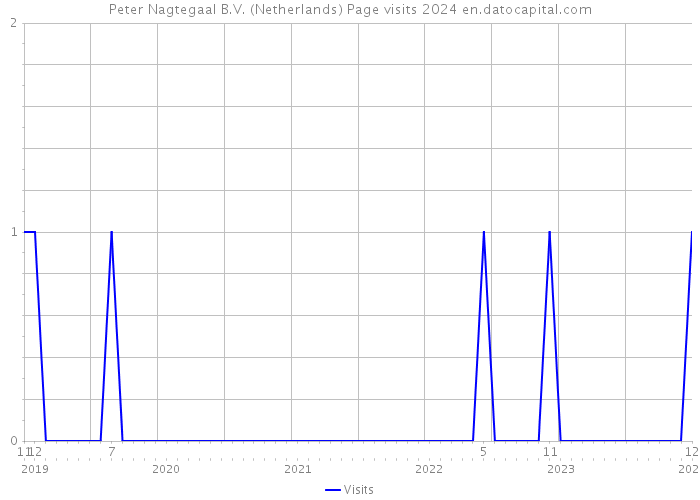 Peter Nagtegaal B.V. (Netherlands) Page visits 2024 