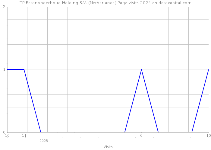 TP Betononderhoud Holding B.V. (Netherlands) Page visits 2024 