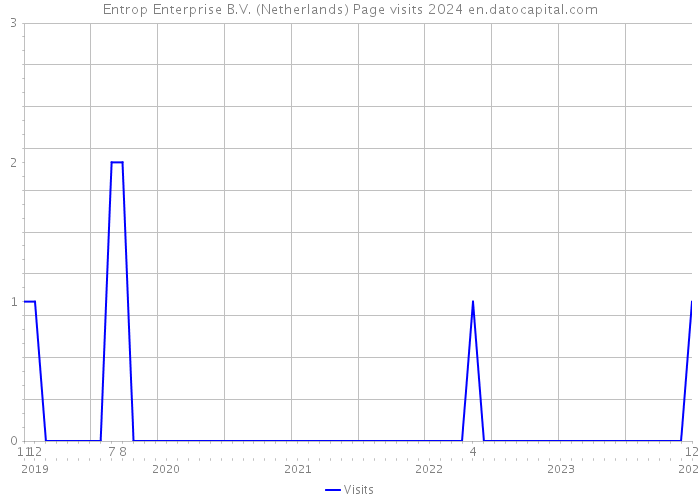 Entrop Enterprise B.V. (Netherlands) Page visits 2024 