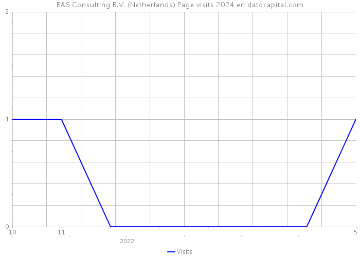 B&S Consulting B.V. (Netherlands) Page visits 2024 