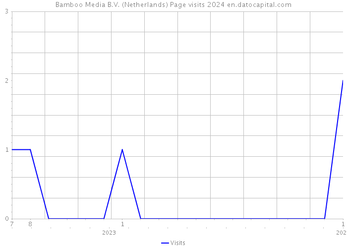 Bamboo Media B.V. (Netherlands) Page visits 2024 
