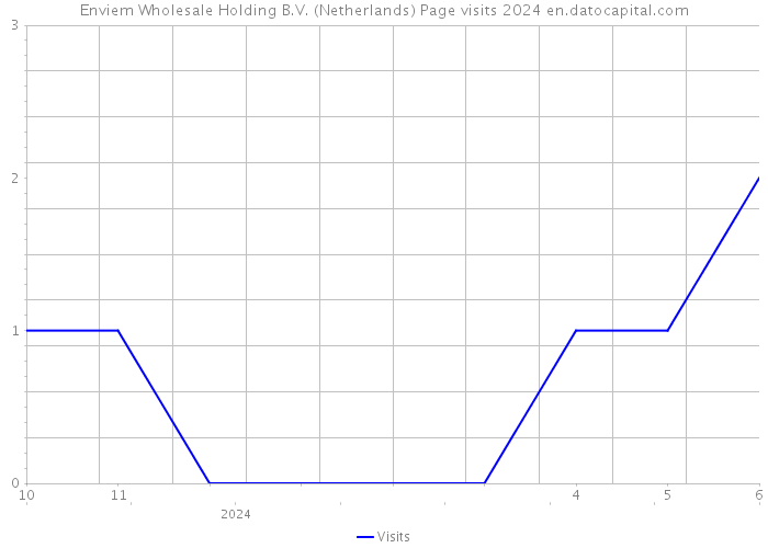 Enviem Wholesale Holding B.V. (Netherlands) Page visits 2024 