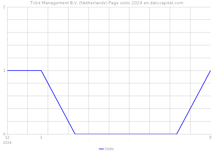 Tobé Management B.V. (Netherlands) Page visits 2024 