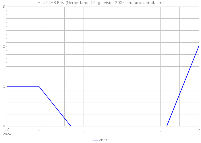 AI XP LAB B.V. (Netherlands) Page visits 2024 