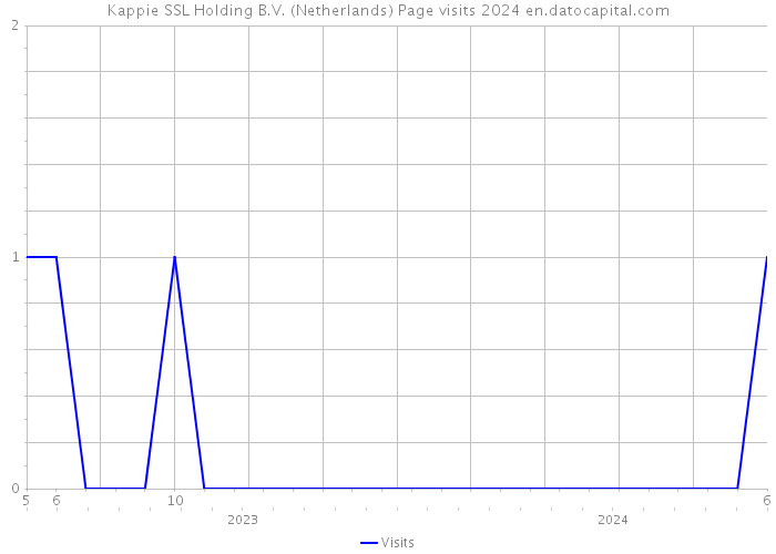 Kappie SSL Holding B.V. (Netherlands) Page visits 2024 