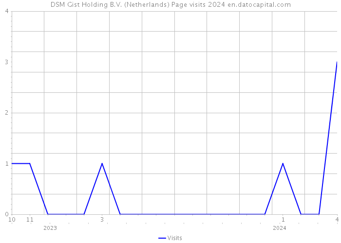 DSM Gist Holding B.V. (Netherlands) Page visits 2024 