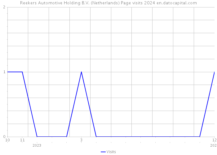 Reekers Automotive Holding B.V. (Netherlands) Page visits 2024 