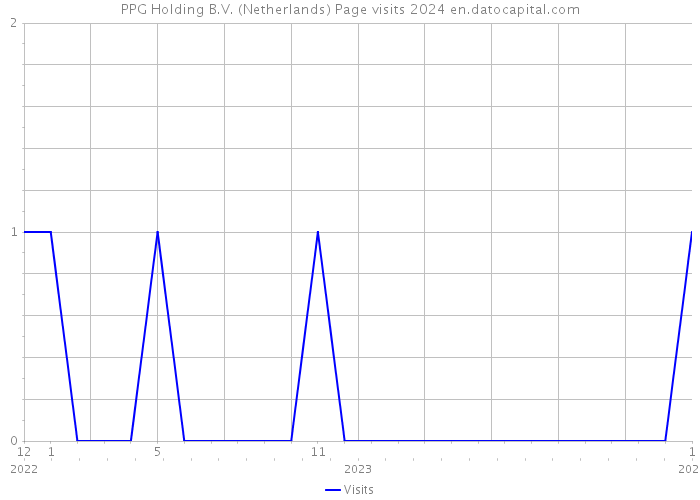 PPG Holding B.V. (Netherlands) Page visits 2024 