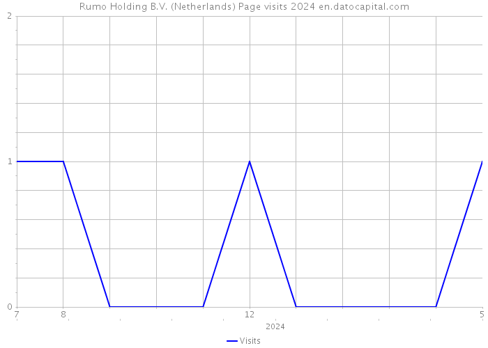Rumo Holding B.V. (Netherlands) Page visits 2024 