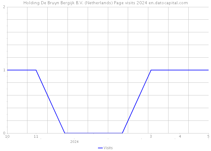 Holding De Bruyn Bergijk B.V. (Netherlands) Page visits 2024 