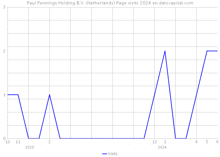 Paul Pennings Holding B.V. (Netherlands) Page visits 2024 