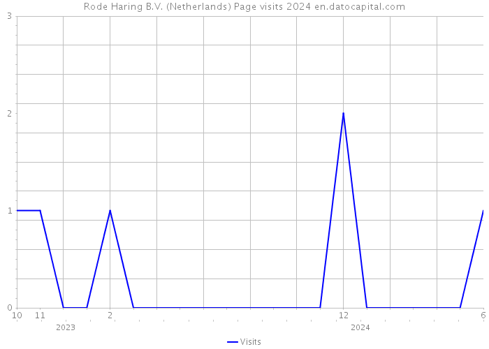 Rode Haring B.V. (Netherlands) Page visits 2024 