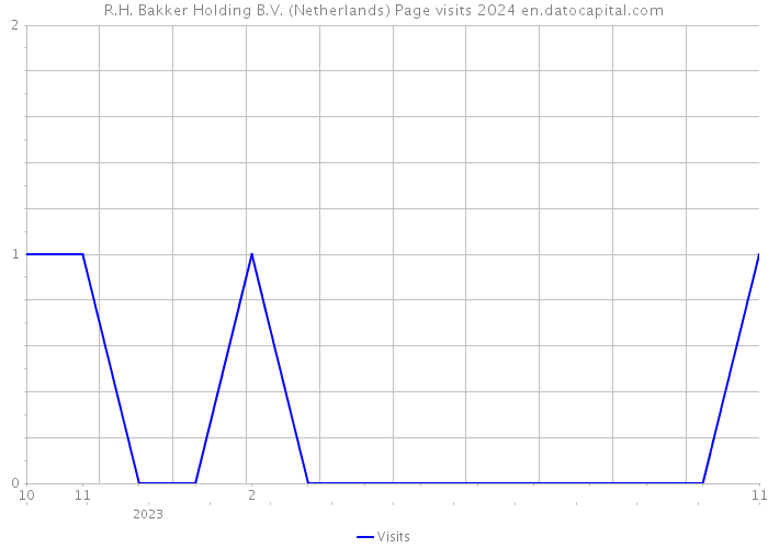 R.H. Bakker Holding B.V. (Netherlands) Page visits 2024 