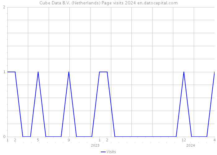 Cube Data B.V. (Netherlands) Page visits 2024 