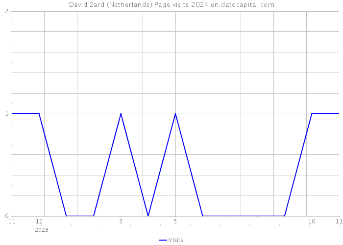 David Zard (Netherlands) Page visits 2024 