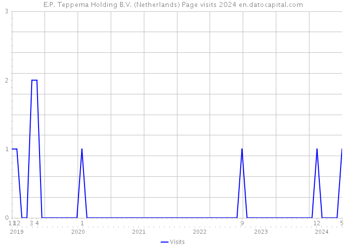 E.P. Teppema Holding B.V. (Netherlands) Page visits 2024 
