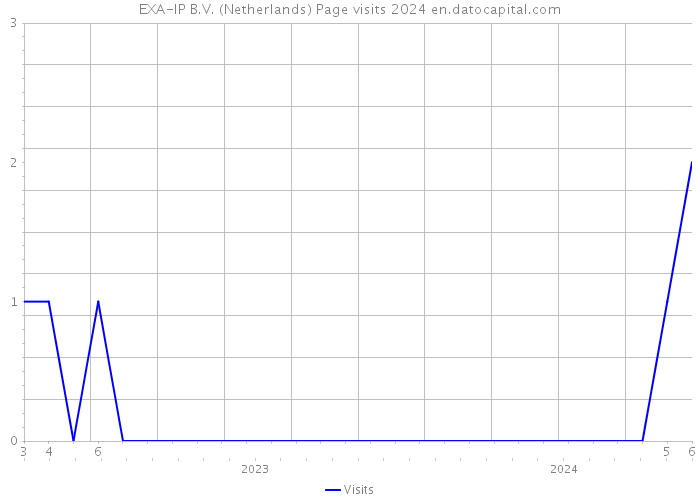 EXA-IP B.V. (Netherlands) Page visits 2024 
