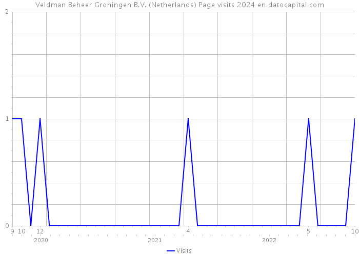 Veldman Beheer Groningen B.V. (Netherlands) Page visits 2024 