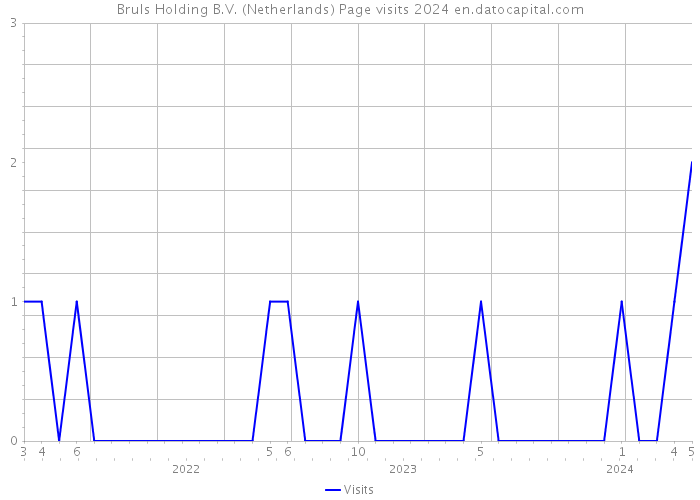 Bruls Holding B.V. (Netherlands) Page visits 2024 