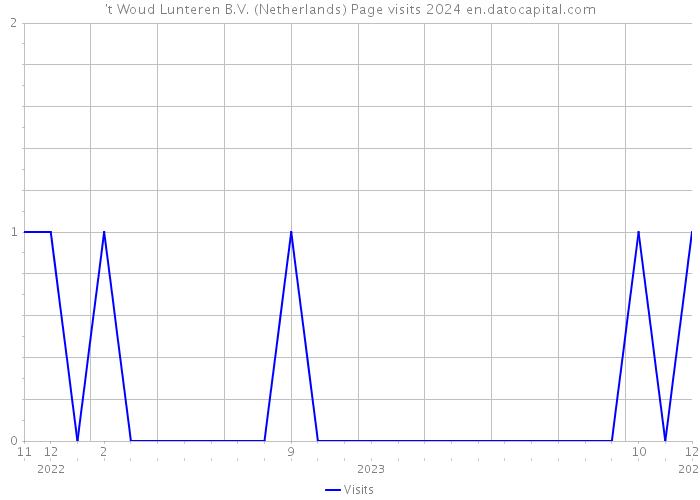 't Woud Lunteren B.V. (Netherlands) Page visits 2024 
