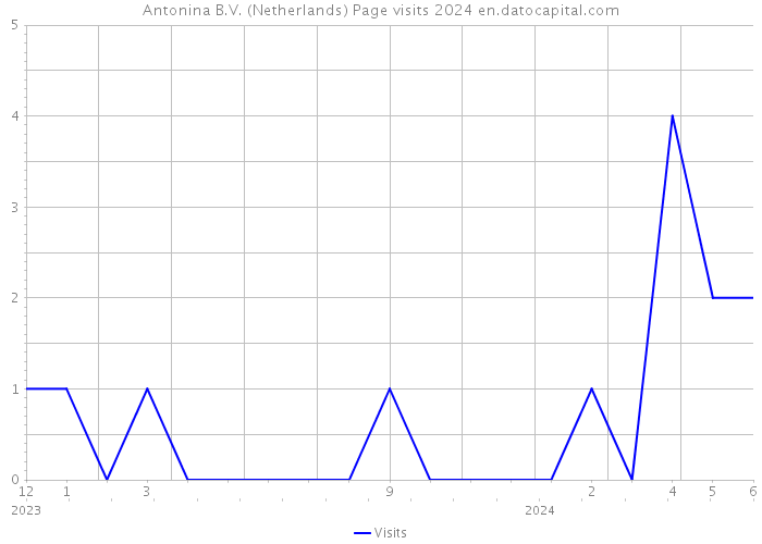 Antonina B.V. (Netherlands) Page visits 2024 