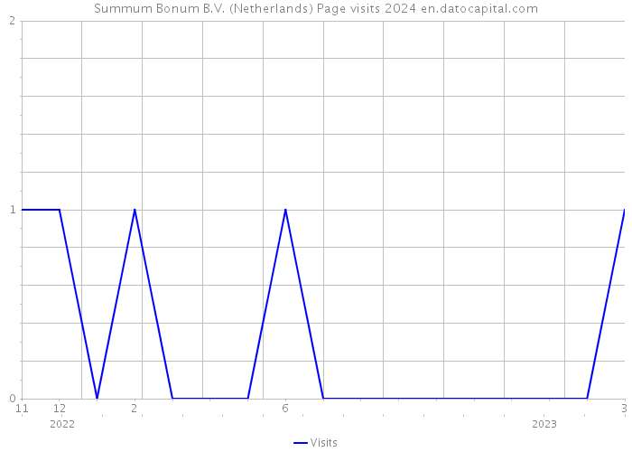 Summum Bonum B.V. (Netherlands) Page visits 2024 
