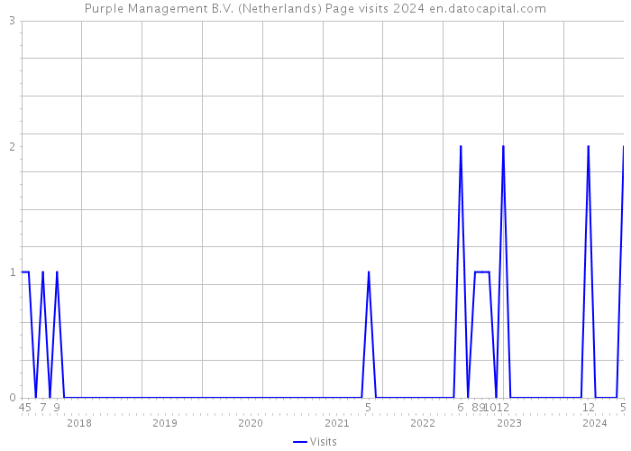 Purple Management B.V. (Netherlands) Page visits 2024 