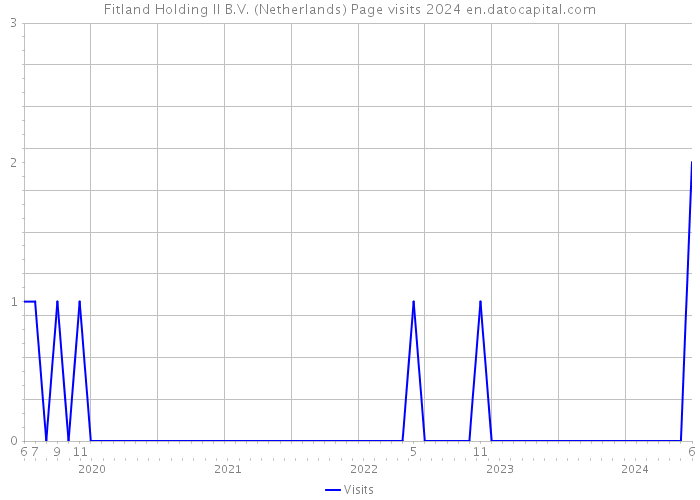 Fitland Holding II B.V. (Netherlands) Page visits 2024 