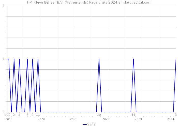 T.P. Kleyn Beheer B.V. (Netherlands) Page visits 2024 