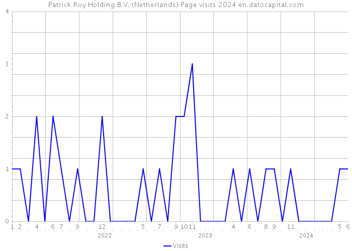 Patrick Roy Holding B.V. (Netherlands) Page visits 2024 