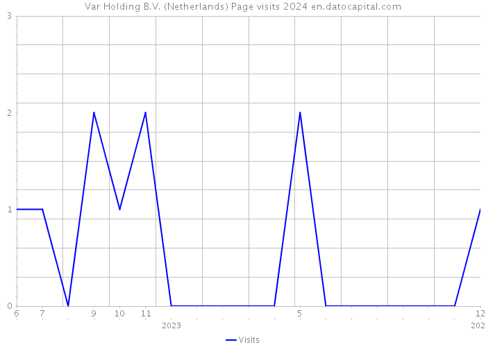 Var Holding B.V. (Netherlands) Page visits 2024 