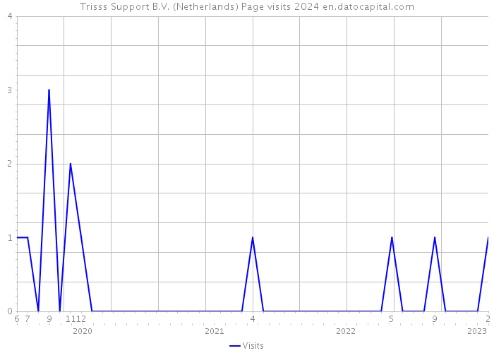 Trisss Support B.V. (Netherlands) Page visits 2024 