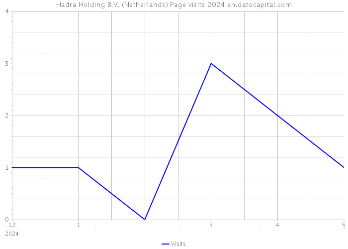 Hadra Holding B.V. (Netherlands) Page visits 2024 